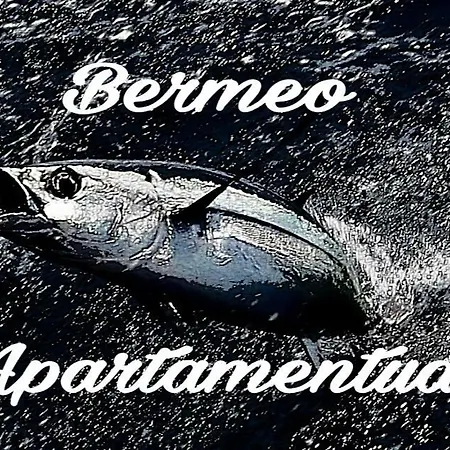 Apartamentos-bermeo