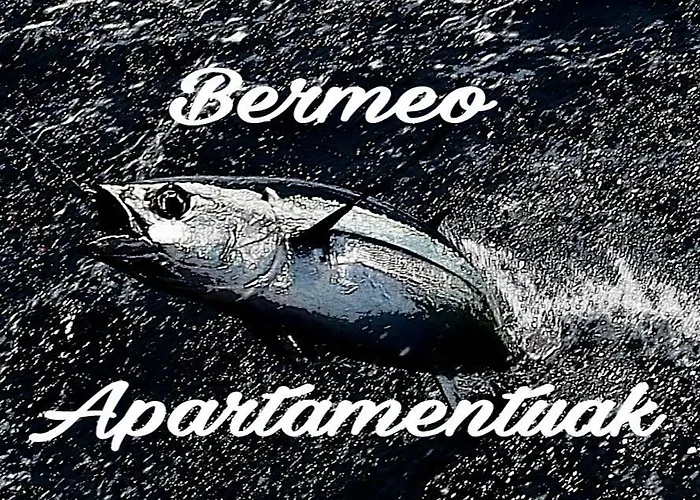 Apartamentos-bermeo
