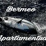 Apartamentos-bermeo